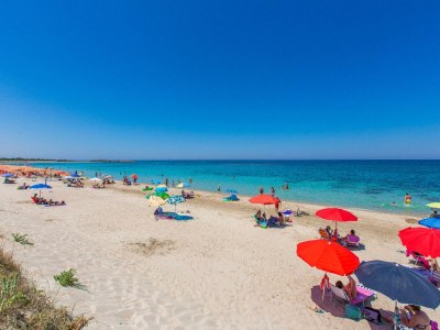 Villa Trullo private pool and fenced garden - Environment photo 36