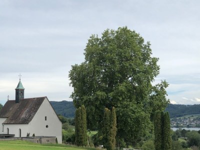 Holiday apartment No title - Environment photo 20