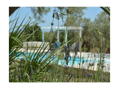 Holiday house Paradiso di Noto - Outdoor photo 19