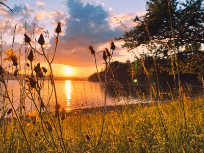 Holiday apartment Villa Heimgarten - Zwei Personen - Environment photo 17