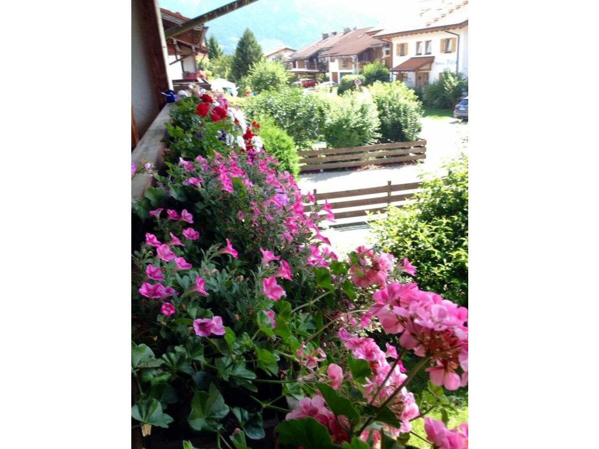 Holiday apartment Kempf - Outdoor photo 4