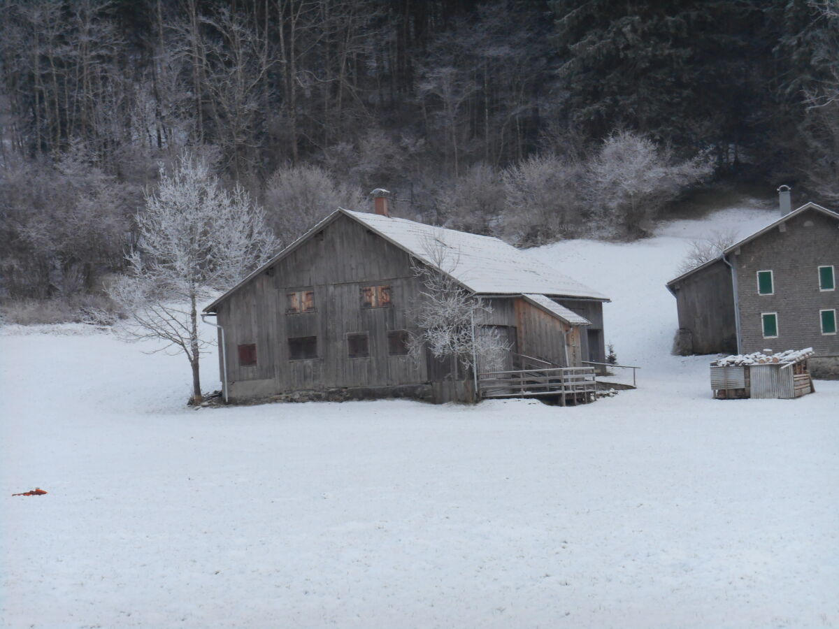 Holiday apartment Rosi - Outdoor photo 3