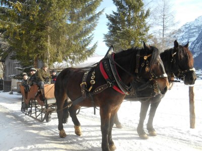 Holiday apartment Rosi - Outdoor photo 4