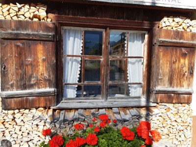 Holiday apartment Rosi - Outdoor photo 6