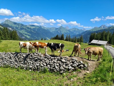 Holiday apartment Bergjuwel - Environment photo 14