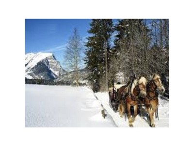 Holiday apartment Bergjuwel - Environment photo 17