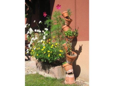 Holiday apartment Maison Oberlin - Outdoor photo 6