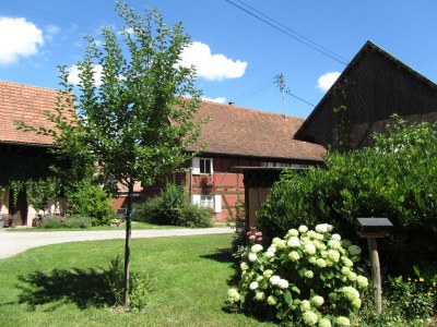 Holiday apartment Maison Oberlin - Outdoor photo 9