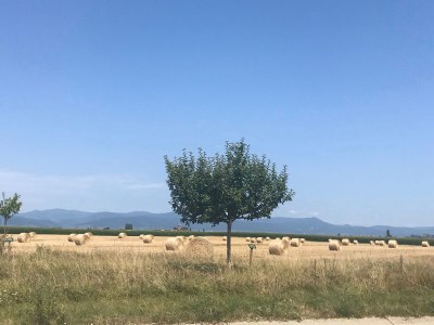 Holiday apartment Maison Oberlin - Outdoor photo 10