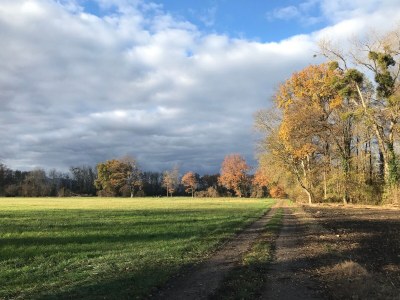 Holiday apartment Maison Oberlin - Outdoor photo 11