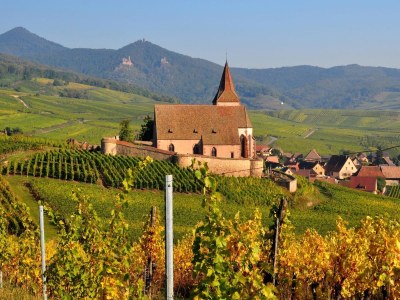 Holiday apartment Maison Oberlin - Environment photo 35