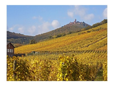 Holiday apartment Maison Oberlin - Environment photo 36