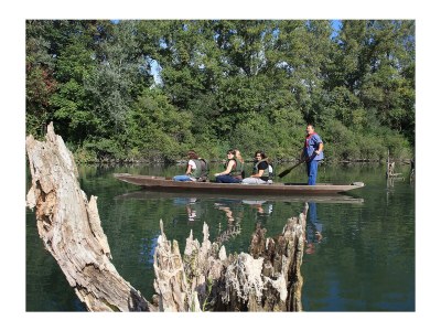 Holiday apartment Maison Oberlin - Environment photo 37