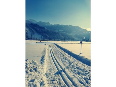 Apartment Apartment für 2-4 Personen - Outdoor photo 8