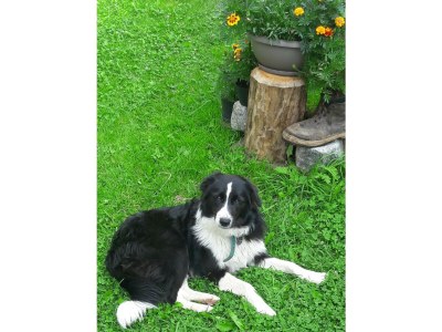 Holiday apartment Wieserhof - Outdoor photo 9