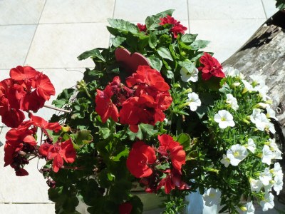 Holiday apartment Wieserhof - Outdoor photo 11