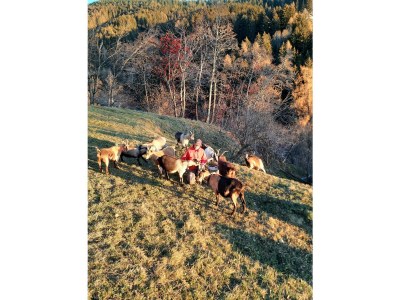 Holiday apartment Wieserhof - Outdoor photo 14