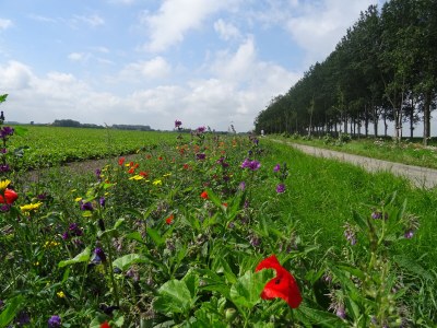 Holiday house Frielo Holiday Home - Environment photo 31