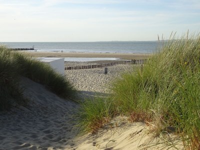 Holiday house Frielo Holiday Home - Environment photo 35