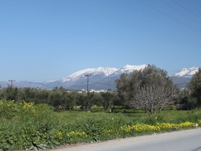 Villa Kritikos - Environment photo 40