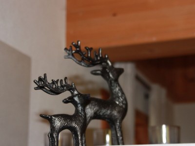 Chalet Living room - Features photo 13