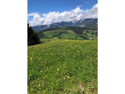 Chalet Living room - Environment photo 16