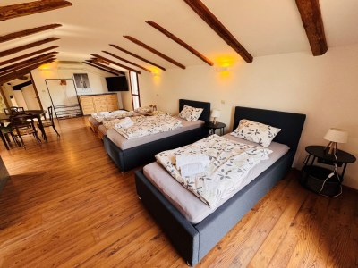 Villa Bella Istria with sea views and pool - Features photo 39