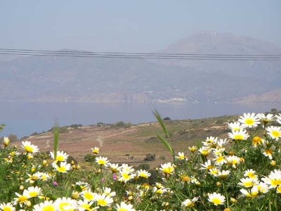 Villa Muse - Environment photo 36