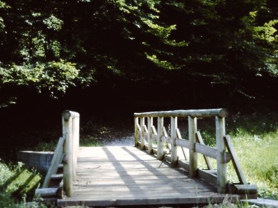 Holiday apartment Felicitas - Environment photo 7