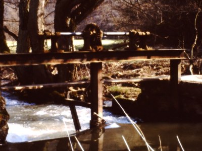 Holiday apartment Felicitas - Environment photo 9