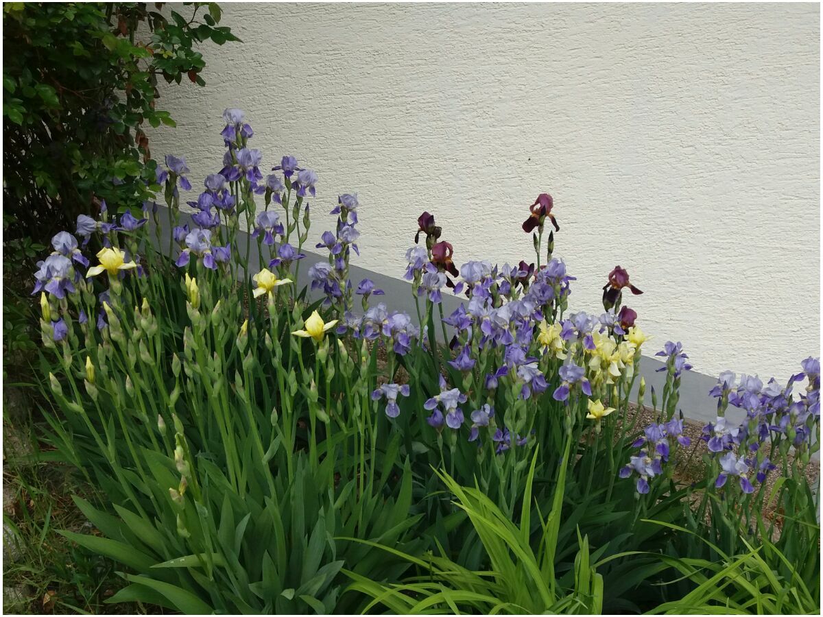 Holiday house Bachmaier - Outdoor photo 5