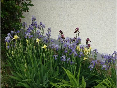 Holiday house Bachmaier - Outdoor photo 5