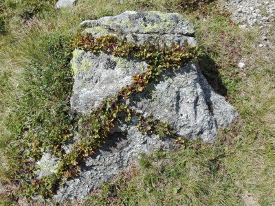 Holiday house Bachmaier - Environment photo 21