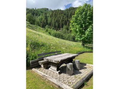 Cottage Rustico / Pütschai alpine hut - Outdoor photo 8