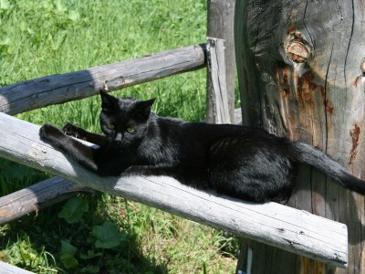 Cottage Rustico / Pütschai alpine hut - Outdoor photo 10