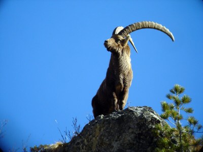 Cottage Rustico / Pütschai alpine hut - Outdoor photo 18