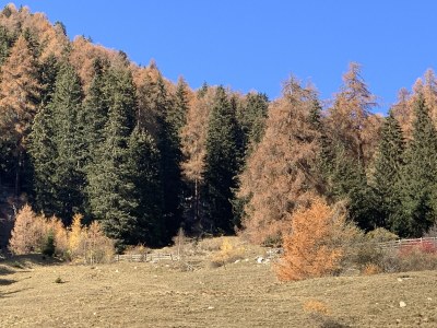 Cottage Rustico / Pütschai alpine hut - Outdoor photo 20
