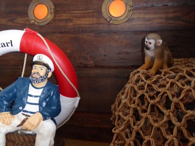 Holiday apartment Het MeeuwenNest - Features photo 20