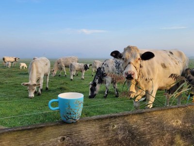 Holiday house The Wild Duck - Outdoor photo 7