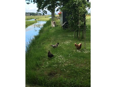 Holiday house The Wild Duck - Outdoor photo 8