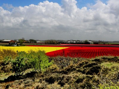 Holiday house The Wild Duck - Environment photo 29