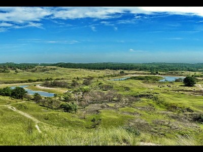Holiday house The Wild Duck - Environment photo 30