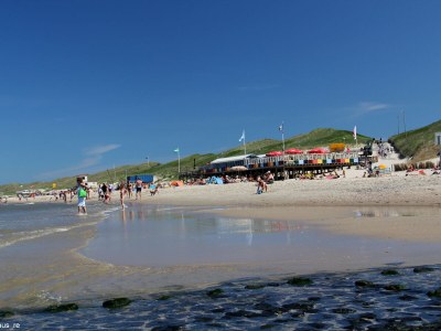 Holiday house The Wild Duck - Environment photo 35