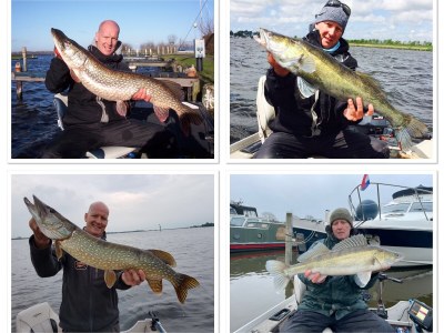 Holiday house The Wild Duck - Environment photo 38