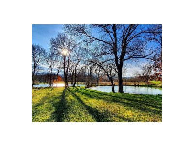 Holiday house Matia I with Pool - Environment photo 42