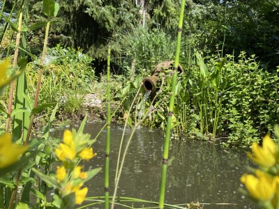 Holiday house Design und Kunst - Outdoor photo 14