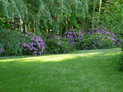 Holiday house Mariannenhof - Outdoor photo 10