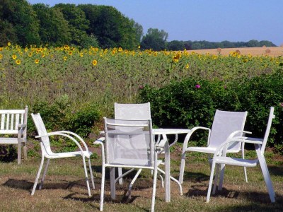 Holiday house Mariannenhof - Outdoor photo 11