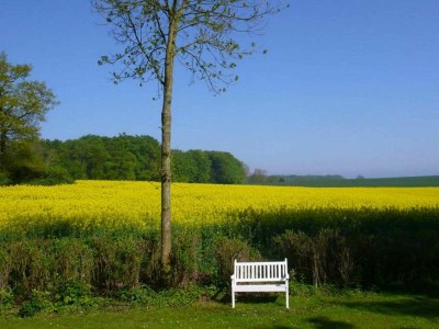 Holiday house Mariannenhof - Outdoor photo 12