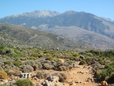 Villa Lydia - Environment photo 40